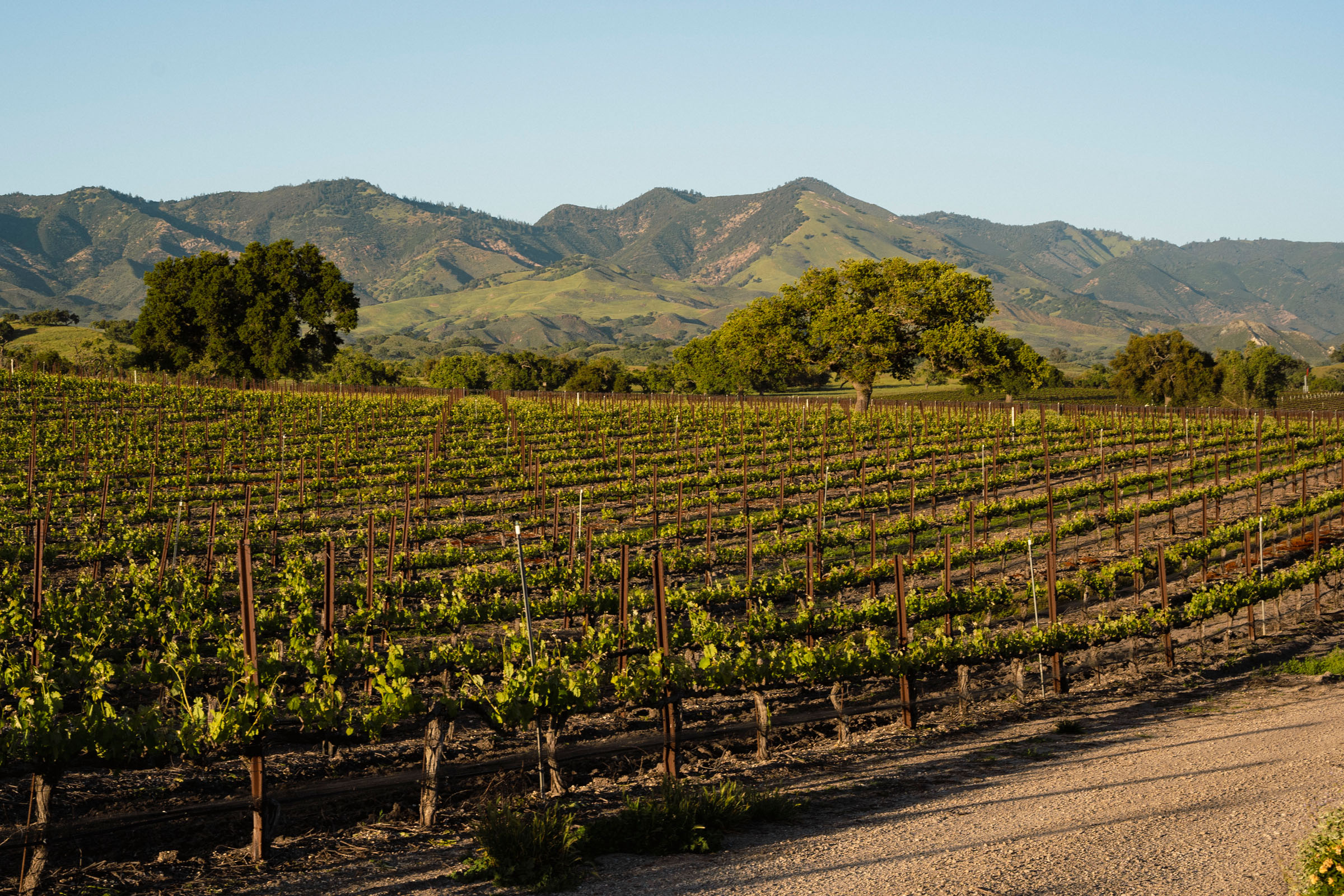 1 Credit_ Visit the Santa Ynez Valley