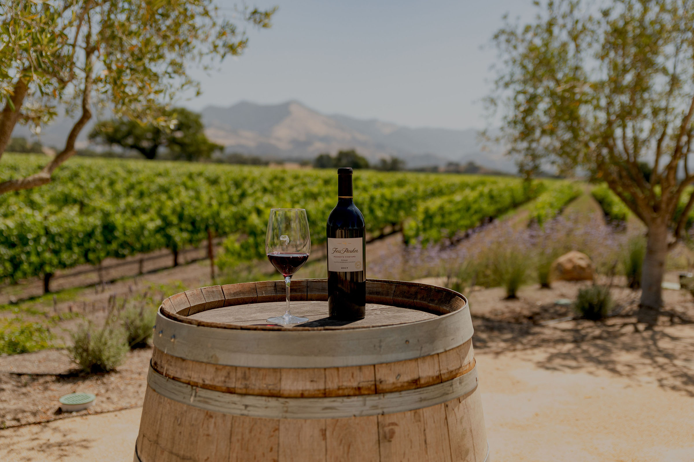 5 Fess Parker Winery & Vineyard CREDIT Craft & Cluster courtesy Visit the Santa Ynez Valley (2)