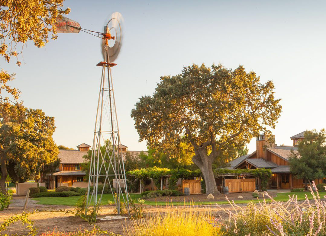 6 Copy of Roblar WInery Photo Credit @chuckplace