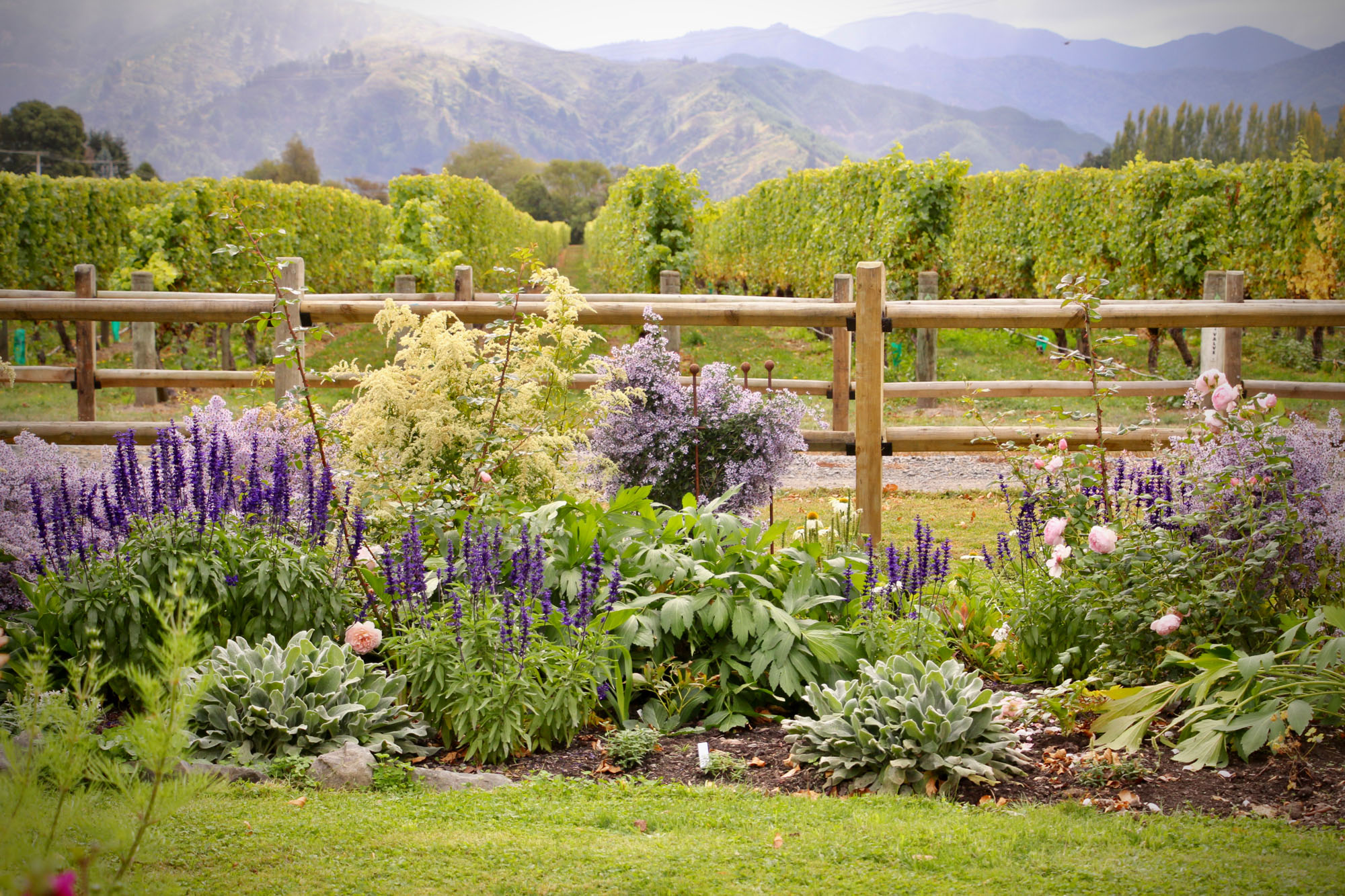 Marlborough-Gifford hero shot