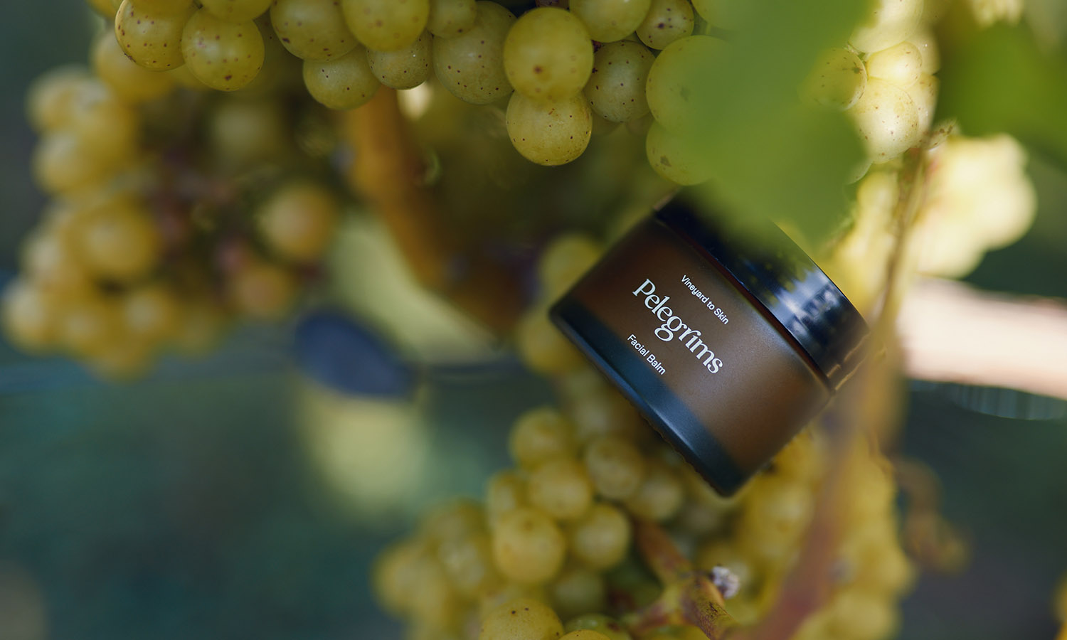 wine-cosmetics-pelegrims-1