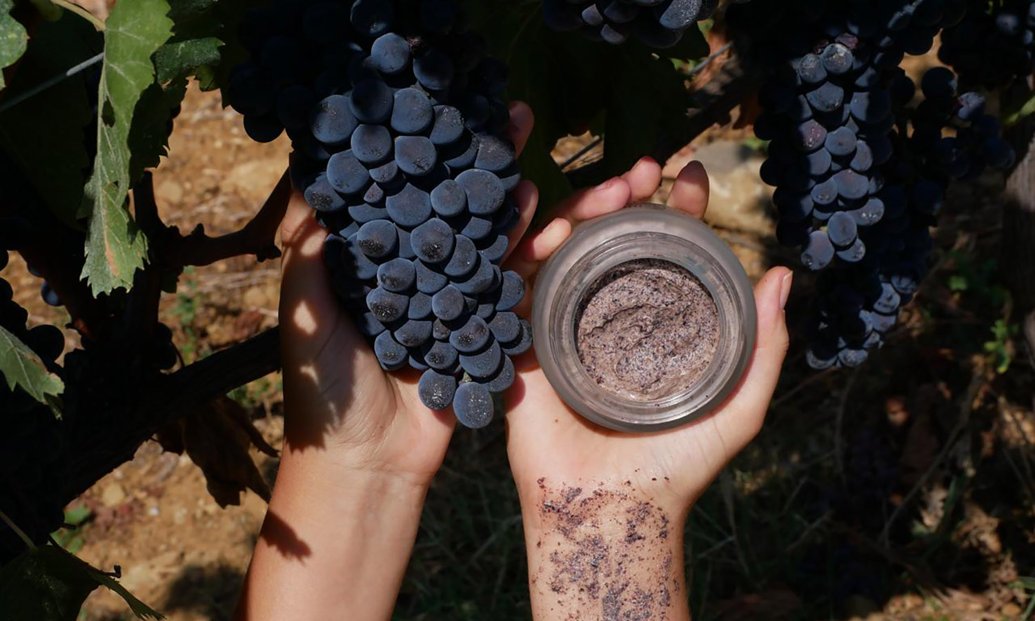 wine-cosmetics-puravitis-1