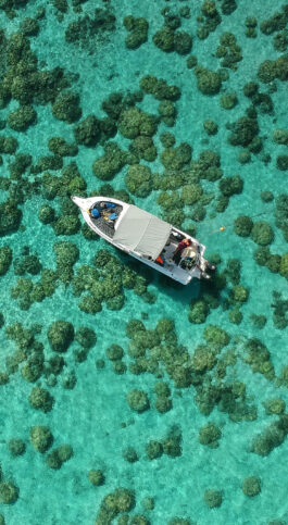 Heading South: The Top Southern Hemisphere Hotspots Worth Discovering