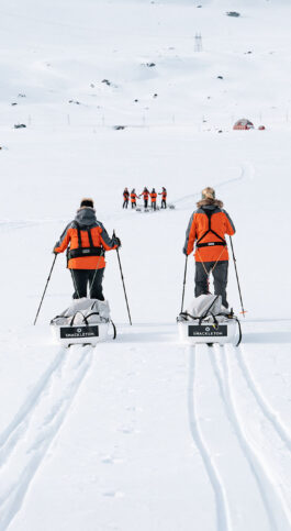 School Of Ice: A New Age Of Adventure Travel