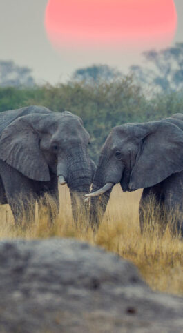 Where To Go Now: The Best Destinations From March To May