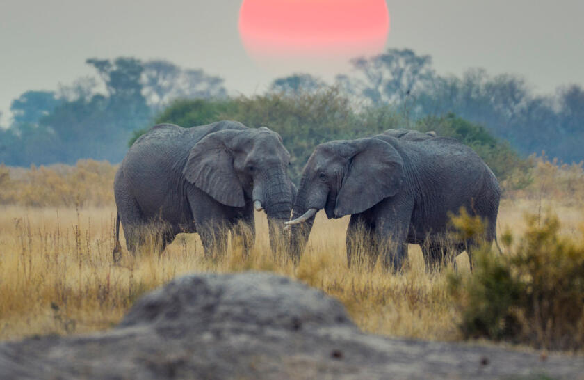 Where To Go Now: The Best Destinations From March To May