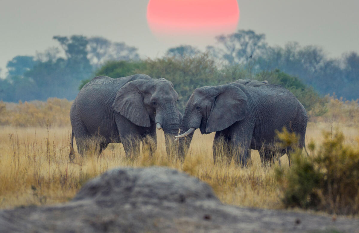 Where To Go Now: The Best Destinations From March To May