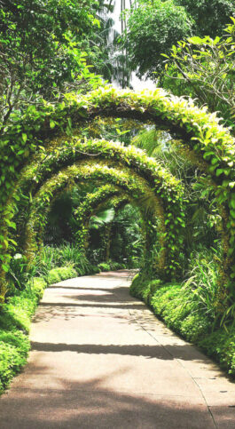 14 Spectacular Gardens Worth Travelling For