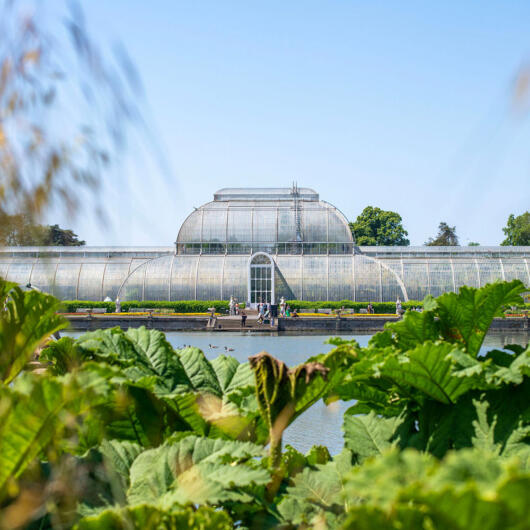 14 Spectacular Gardens Worth Travelling For