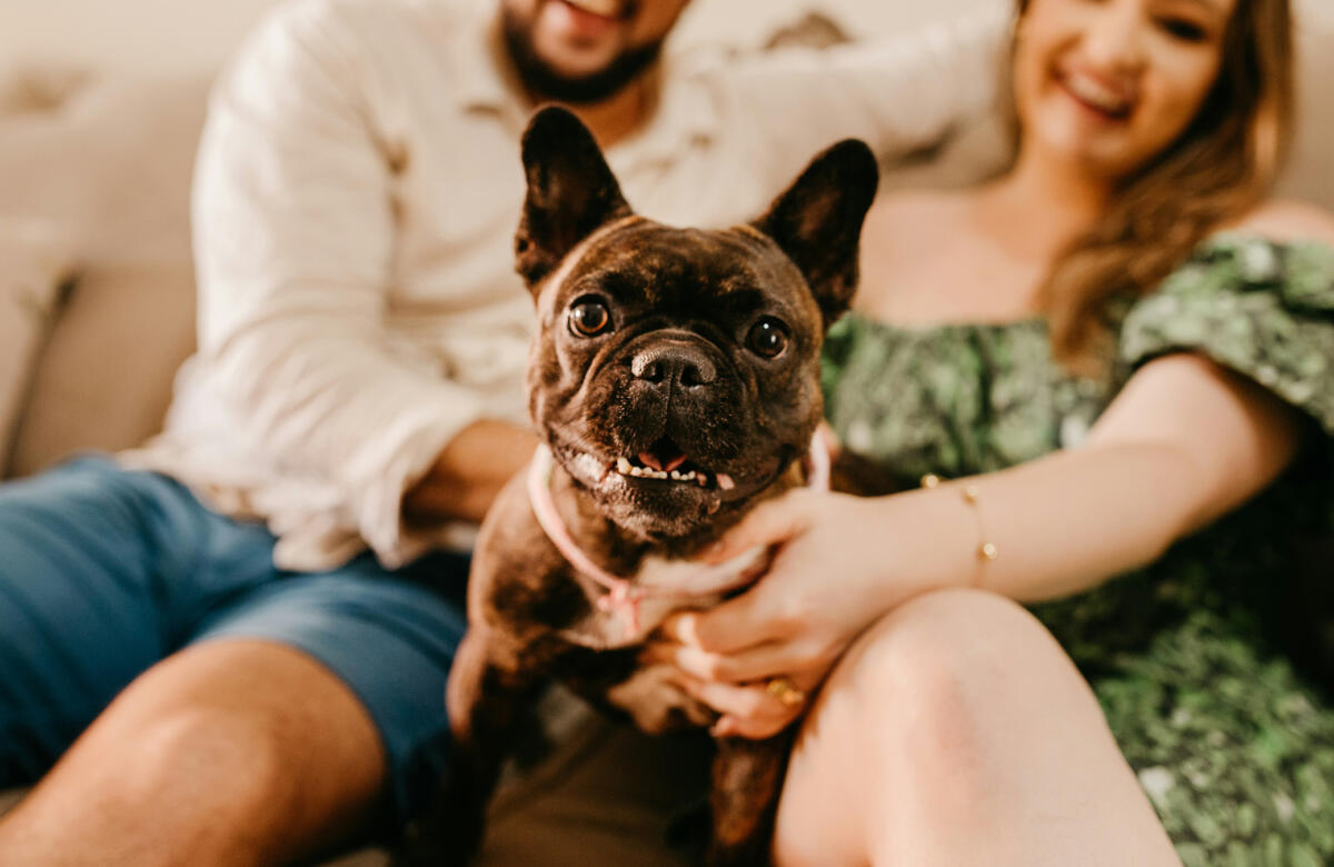 Quiz: Which Pet Best Suits Your Lifestyle?