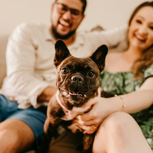 Quiz: Which Pet Best Suits Your Lifestyle?