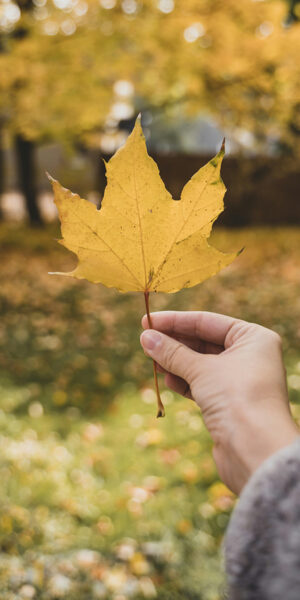 Fall Festival: 14 Fun Autumn Activities To Try